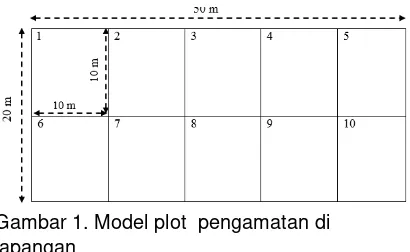 Gambar 1. Model plot  pengamatan di 