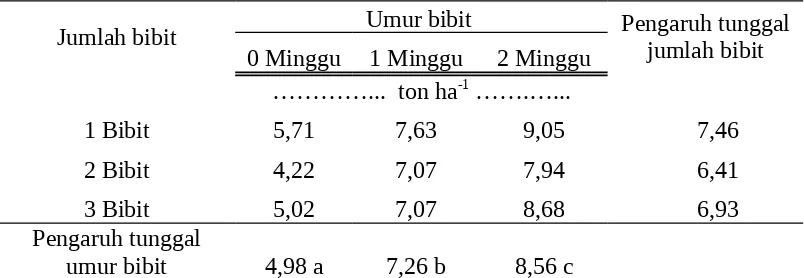 Tabel 2.  Haasil per hektar pada berbagai jumlah bibit per titik tanam dan umur                bibit.