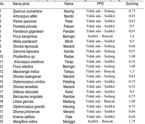 Tabel  4.  Hasil  Pendugaan  Produktivitas  buah  berdasarkan  nila  skor  rata-rata  dalam    satuan 3 bulan pada jenis pohon pakan orangutan sumatera (Pongo abelii) 