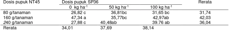 Tabel 4. Berat kering polong total kacang tanah pada perlakuan pupuk NT45 dan fosfat pada  dosis yang berbeda 