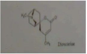 Gambar 2 . struktur senyawa dioskorin 