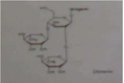 Gambar 3. struktur kimia senyawa dioscein Sumber: Dweck (2002)  