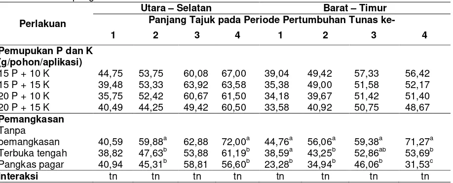 Tabel 3.  Panjang tajuk tanaman jeruk keprok Borneo Prima pada dosis pemupukan P dan K serta bentuk pangkas berbeda 