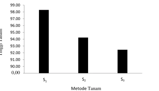 Gambar  1.  Histogram  Tinggi  Tanaman  Padi  8  MSPT  Dengan  Beberapa  Metode  Penanaman 