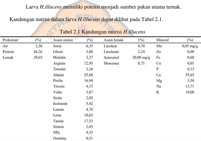 Tabel 2.1 Kandungan nutrisi H.illucens 