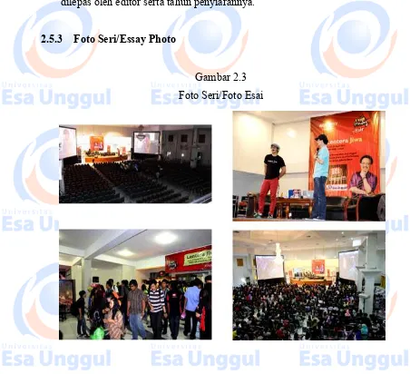 Gambar 2.3 Foto Seri/Foto Esai 