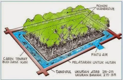 Gambar 4. Tambak dengan model komplangan (Sambu et al., 2018). 
