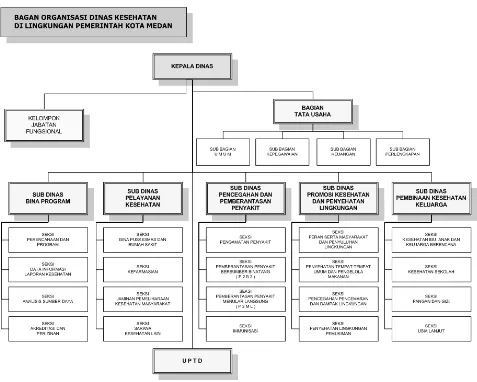 Gambar 2.1 Struktur organisasi Dinas Kesehatan Kota Medan 
