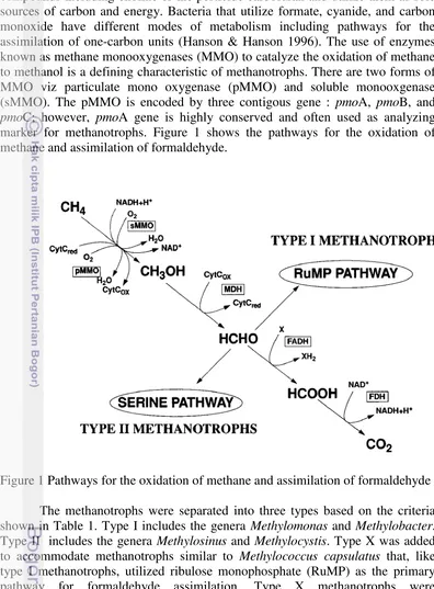 Figure 1 Pathways for the oxidation of methane and assimilation of formaldehyde 