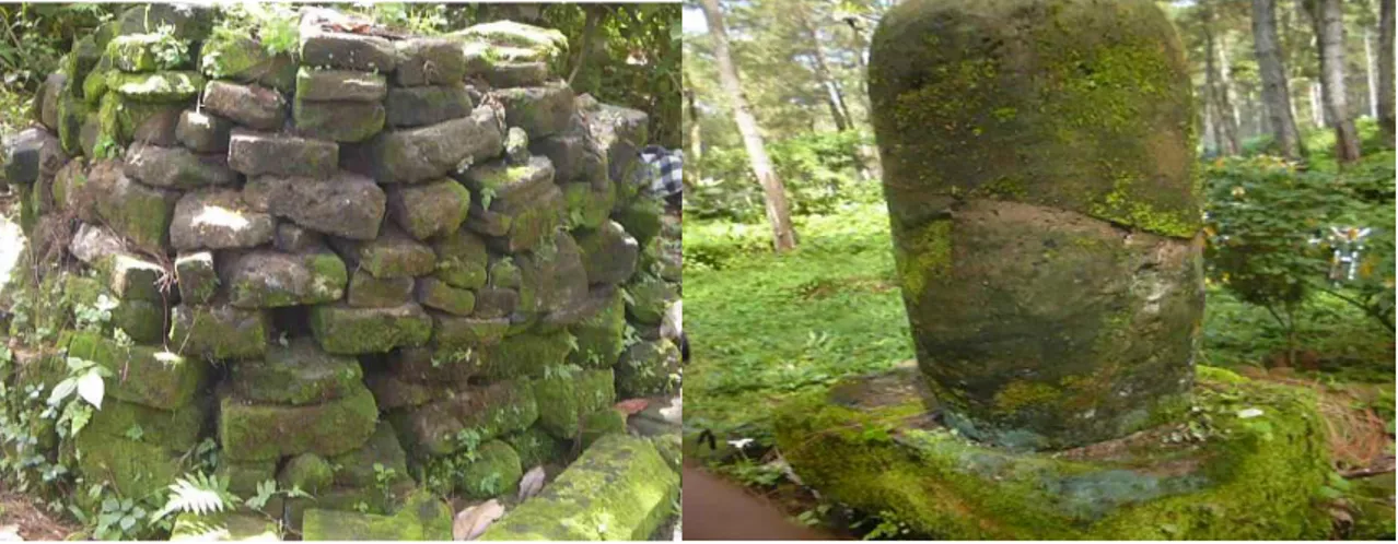 Gambar 3.1. Batu Megalitik dan Lingga Yoni  Sumber. Dokumentasi Peneliti, 2019  Situs Goa di Taman Nasional Alas Purwo 