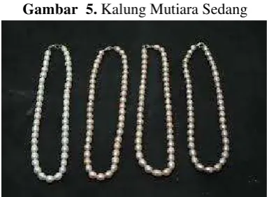 Gambar  5. Kalung Mutiara Sedang