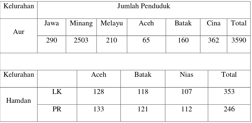 Tabel 2.1. Jumlah Penduduk Berdasarkan Suku dan Etnis 