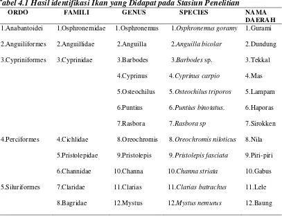Tabel 4.1 Hasil identifikasi Ikan yang Didapat pada Stasiun Penelitian 