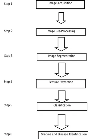 Gambar 4 Block diagram of CADSS steps 