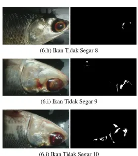 Tabel 2 diatas menunjukkan tingkat akurasi pengujan  sebesar  80%  dalam  mendeteksi  ikan  Bandeng  yang  tidak segar
