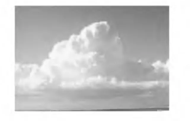 Gambar 1. Jenis awan Cumulus 