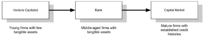 Figure 2.Hierarchy of financing