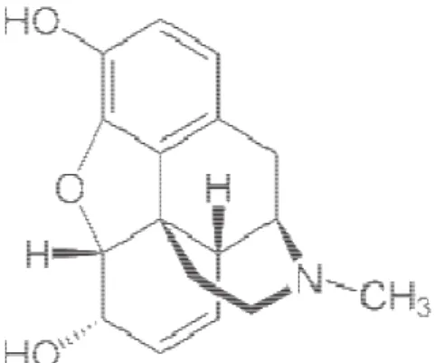 Gambar 2.4 Struktur Kimia Alkaloid  (Sumber : Wikipedia) 
