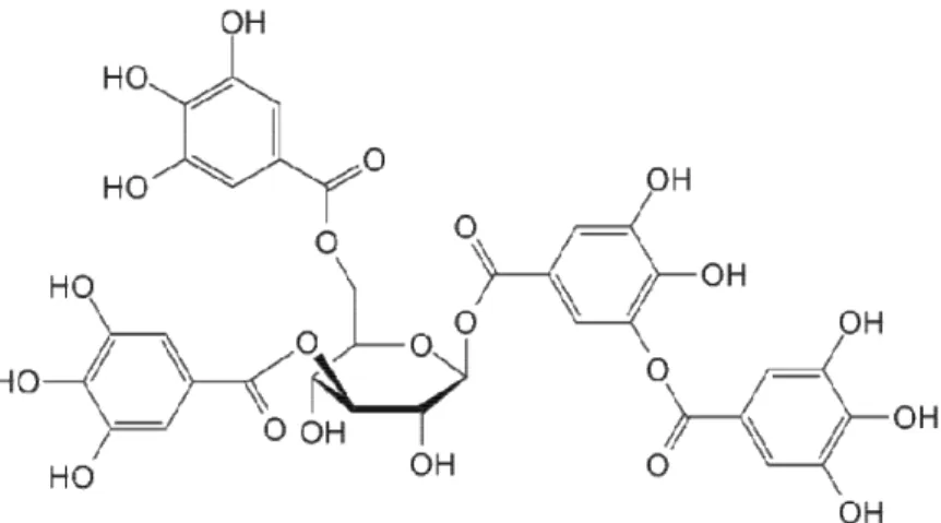 Gambar 2.5 Struktur Kimia Tannin  (Sumber : Soenardjo, 2017) 