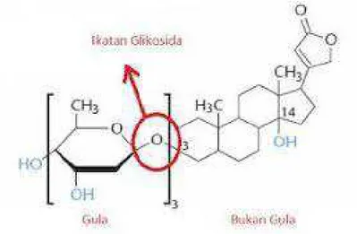 Gambar 2.6 Struktur Kimia Glikosida  (Sumber : Wikipedia) 