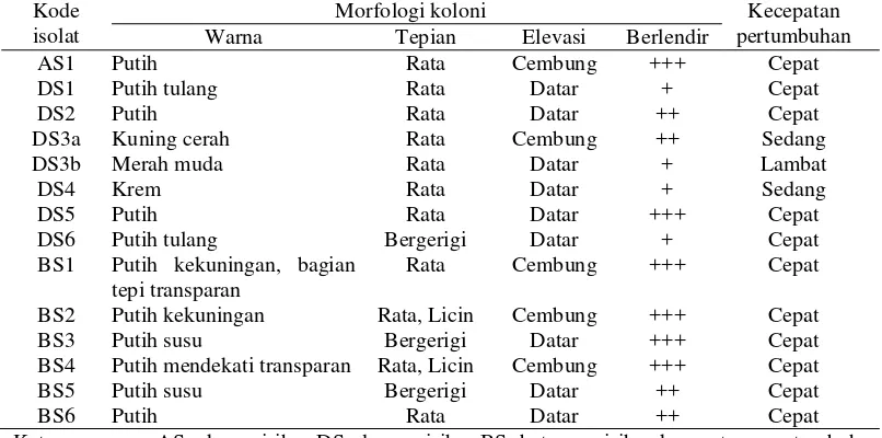 Tabel 1  Morfologi koloni dan kecepatan pertumbuhan isolat bakteri endofit dari tanaman sirih hijau 