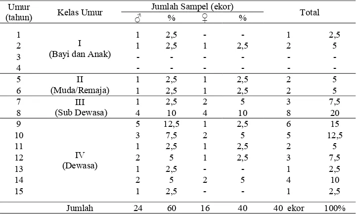 Tabel 4   Pembagian siamang sumatera yang diukur di lapangan berdasarkan kelas umur 