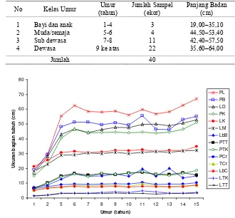 Tabel 5  Karakteristik panjang badan siamang sumatera berdasarkan kelas umur 