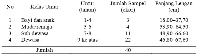 Tabel 6  Karakteristik panjang lengan siamang sumatera berdasarkan kelas umur 