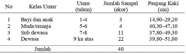 Tabel 7  Karakteristik panjang kaki siamang sumatera berdasarkan kelas umur 