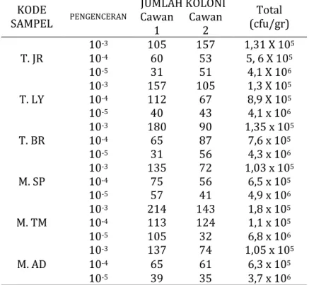 Tabel 4.1. Hasil penelitian hitung TPC (Total Plate Count)  KODE 