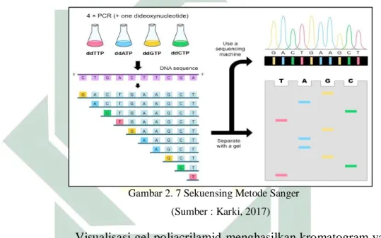 Gambar 2. 7 Sekuensing Metode Sanger  (Sumber : Karki, 2017) 