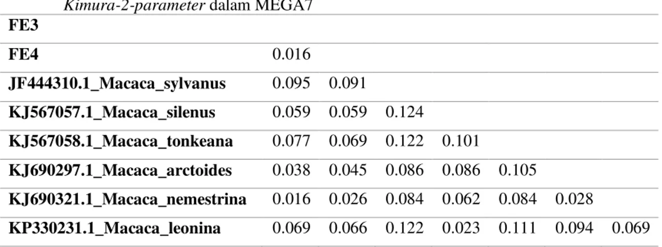Tabel 1. Jarak genetik sampel M. nigra dengan kerabat dekatnya menggunakan analisis  