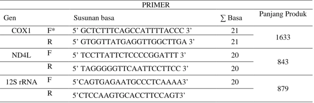 Tabel 1. Primer oligonukleotida spesifik untuk amplifikasi gen COX1, ND4L,dan 12S rRNA  PRIMER 