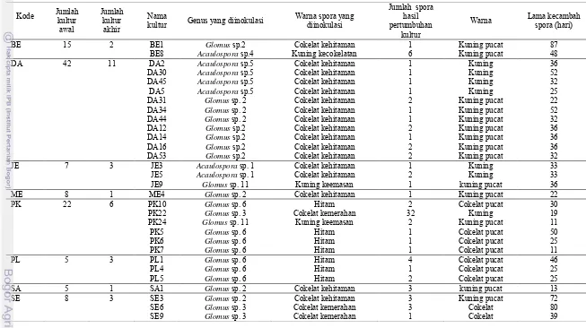 Tabel 3  Hasil pemurnian spora melalui kultur spora tunggal 