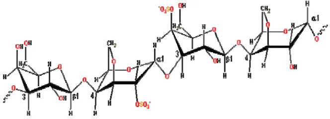 Gambar  4  Struktur monomer karaginan jenis kappa, iota dan lamda  (Tojo dan   Prodo  2003) 