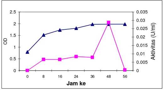 Gambar 1. Produksi protease S. epidermidis ■- aktivitas protease). 