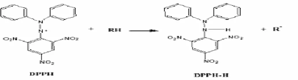 Gambar 2.1 Reaksi DPPH dengan senyawa antioksidan 