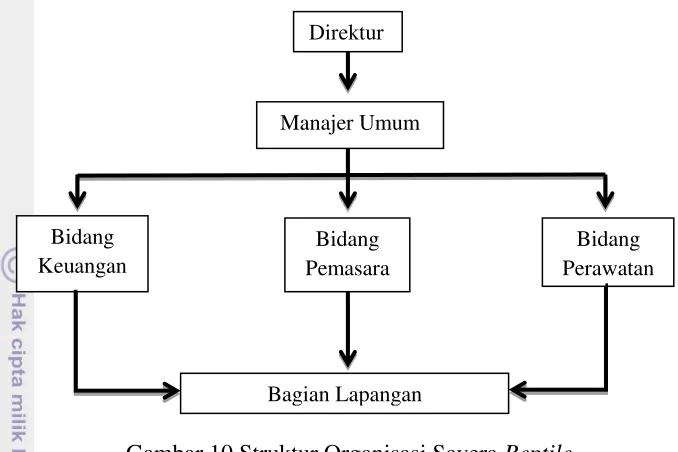 Gambar 10 Struktur Organisasi Savera Reptile 