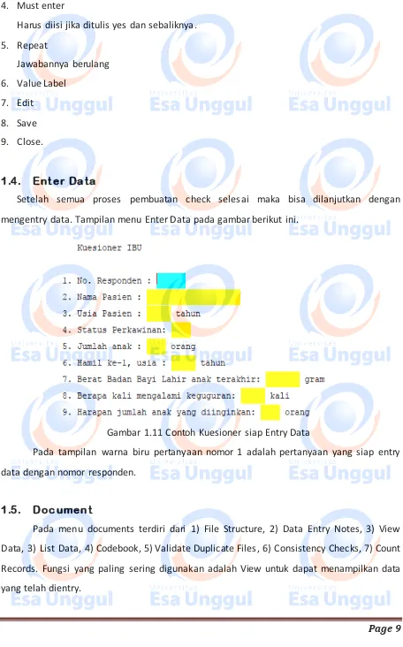 Gambar 1.11 Contoh Kuesioner siap Entry Data 