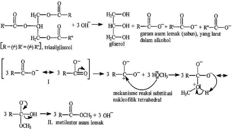 Gambar 2.3. Mekanisme reaksi transesterifikasi pembentukan metil ester  asam lemak dari triasilgliserol yang dikatalisis oleh basa (KOH)  