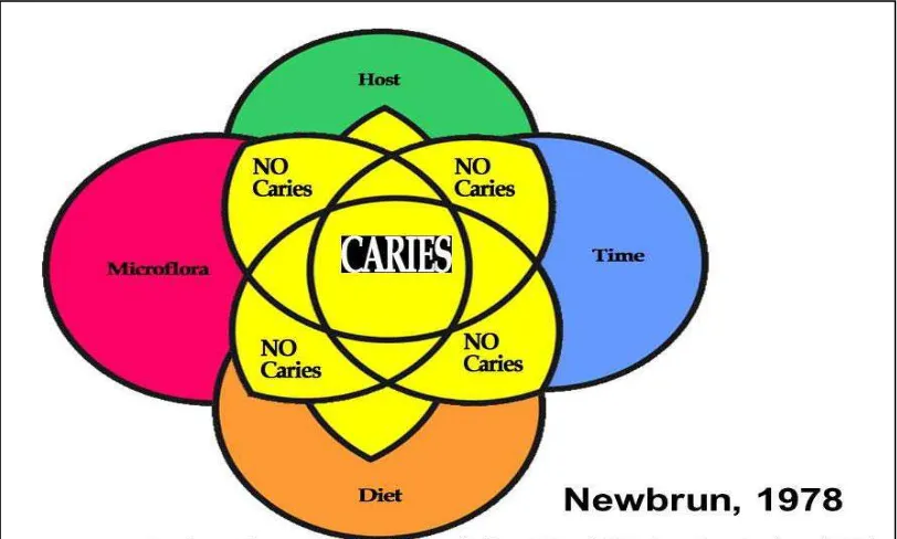 Gambar 1. Diagram empat lingkaran faktor yang berperan dalam proses karies gigi30 