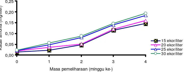 Tabel 1.  Konsentrasi amoniak (mg/l) pada sistem budidaya benih ikan lele dumbo Clarias sp