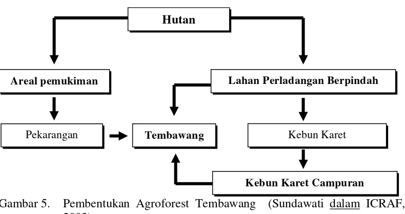 Gambar 5.  Pembentukan Agroforest Tembawang  (Sundawati dalam ICRAF, 