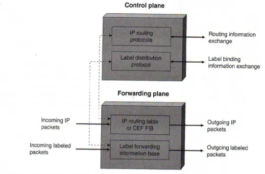 Gambar 2.7 MPLS Architecture 