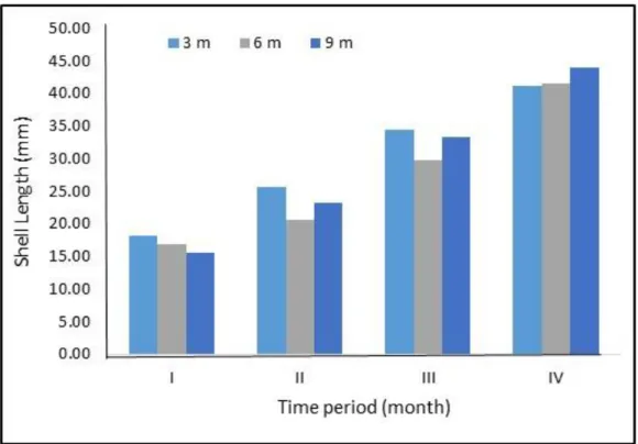 Gambar 4. Grafik nilai pertumbuhan mutlak kerang mutiara pada kedalaman 3 m, 6 m dan  9 m, selama masa pemeliharaan 