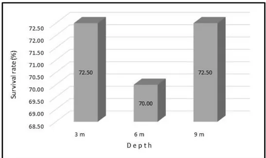 Gambar 5. Nilai persentase sintasan (survival rate) kelompok kerang mutiara yang  dipelihara pada kedalaman 3m, 6 m da 9 m
