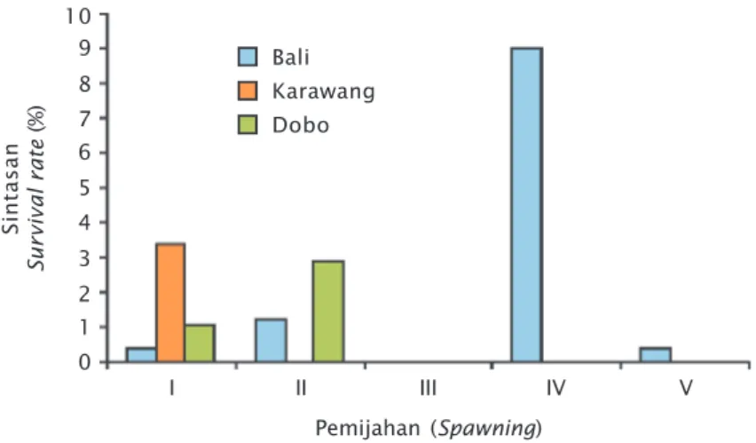 Figure 2. Survival rate of pearl oyster seed at each spawning from three locations of natural broodstock