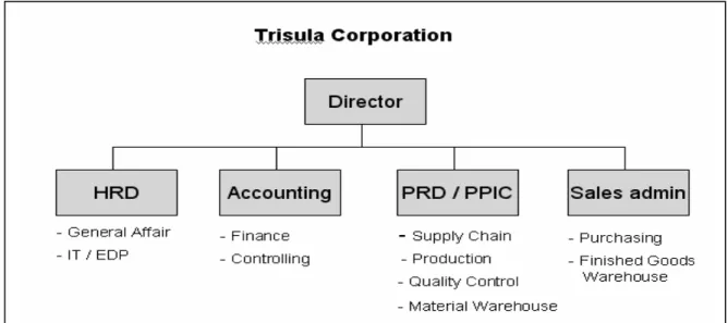 Gambar 3.1  Struktur Organisasi Trisula Corporation 