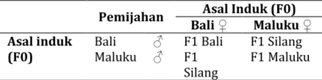Tabel 1. Metode Pemijahan Tiram Mutiara  Pemijahan  Bali ♀  Asal Induk (F0)  Maluku ♀  Asal induk 
