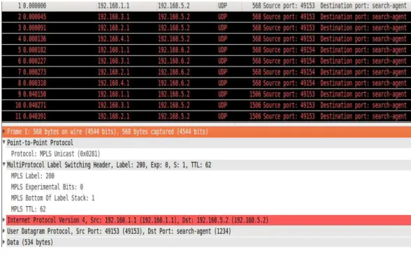 Gambar 4.19 Provider Edge PE_1 ke Core P1 